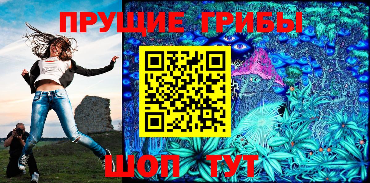 Георгиевск  Псилоцибиновые грибы Psilocybine cubensis  Вход с VPN 