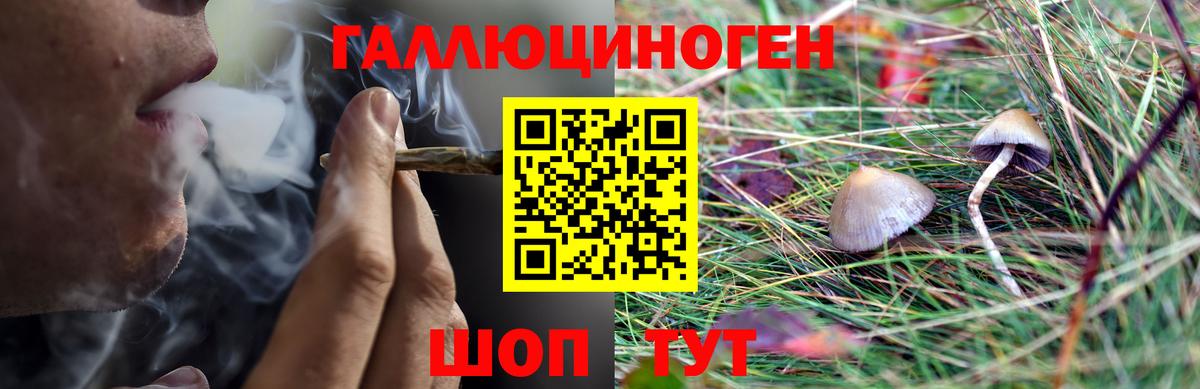 Галлюциногенные грибы мицелий Георгиевск