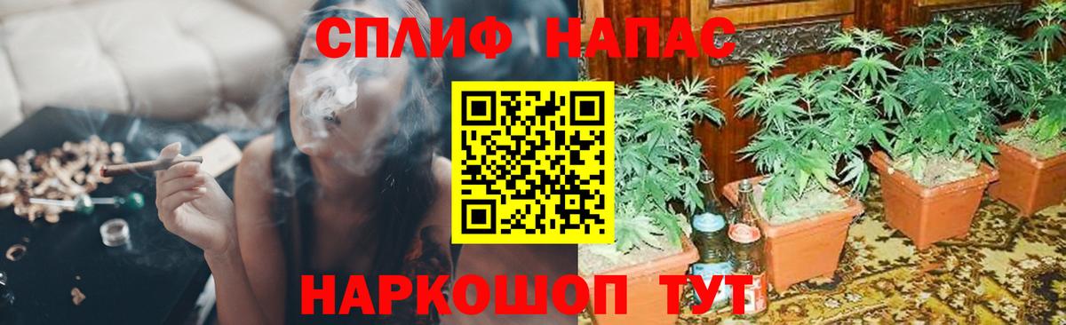 Георгиевск  Бошки Шишки тримм  Вход с VPN  Каннабис Ganja 